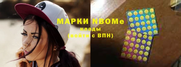 сатива Куйбышев