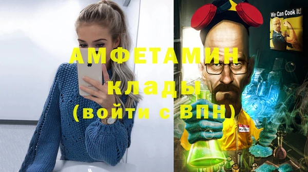 сатива Куйбышев