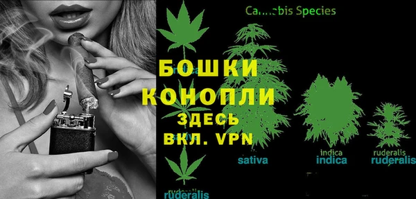 твердый Кукмор